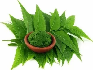 Neem Extract
