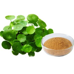 Bacopa monnieri Extract