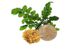 Boswellia Serrata Extract